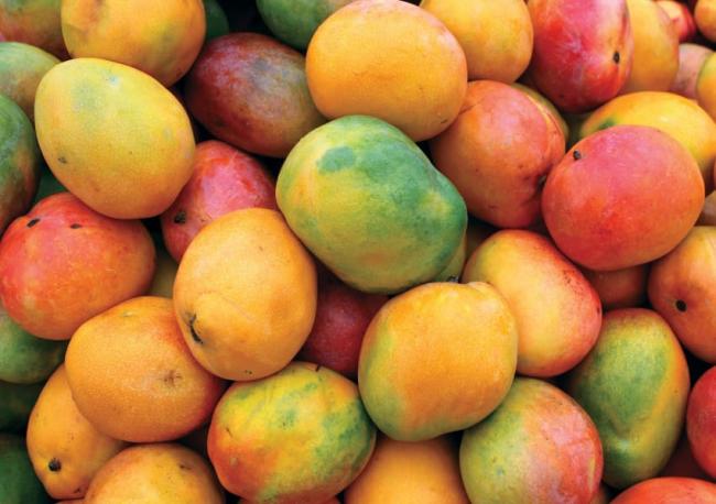 Health Benefits for Mango