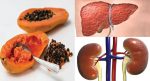 Papaya Seeds Benefits