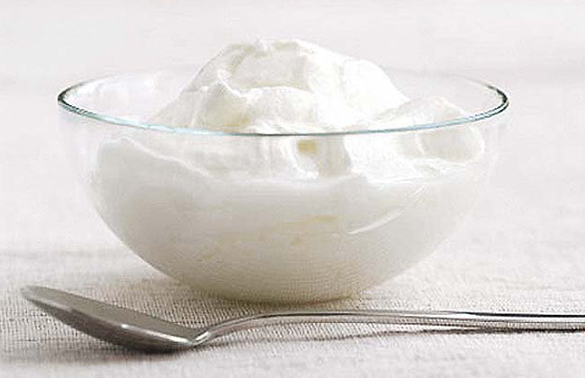 Best Yogurt for Stomach Bacteria